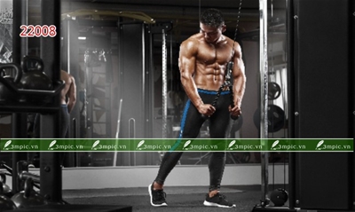 Tranh dán tường 3D phòng khách;tranh GYM; tranh dán tường sơn thủy 3D; tranh dán tường 3D; tranh dán tường 3D đẹp;  bán file tranh cung cấp file tranh; 3mpic.vn