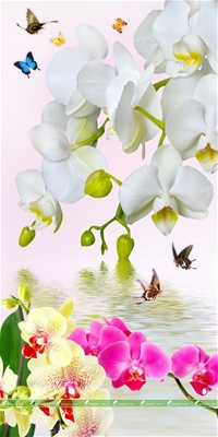  Tranh Dán Tường 3D Hiện Đại; Tranh Dán Tường Khổ Lớn; Tranh Dán Tường Hiện Đại;  Tranh Dán Tường Phòng Khách;